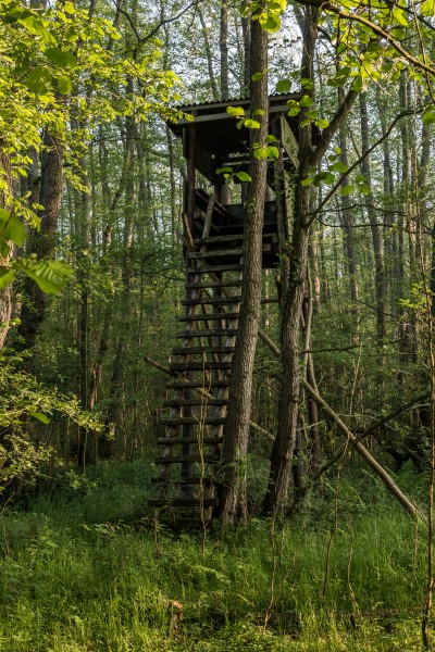 Dülmen, Naturschutzgebiet -Franzosenbach- -- 2014 -- 0180