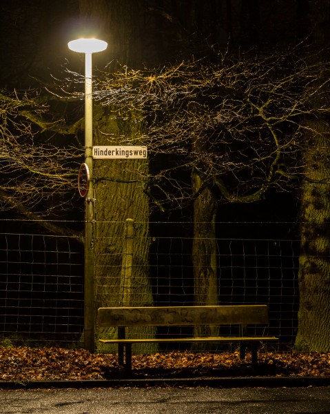 Dülmen, Parkbank am Wildpark -- 2016 -- 0327
