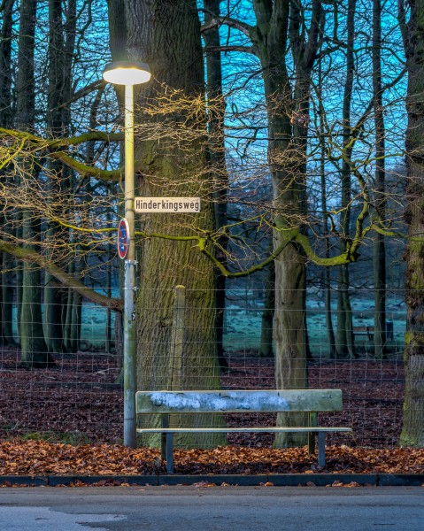 Dülmen, Parkbank am Wildpark -- 2016 -- 0349-55