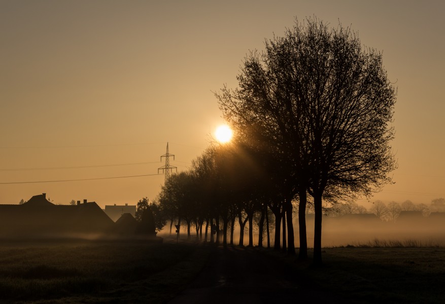 Dülmen, Umland -- 2014 -- 7058