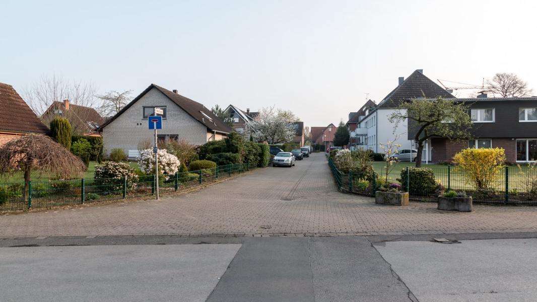 Dülmen, Westhagen -- 2017 -- 9379