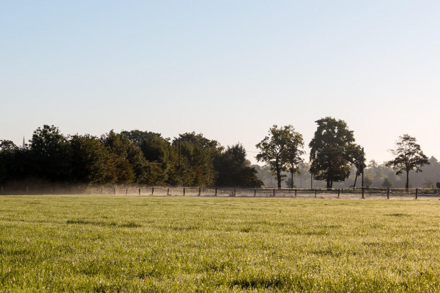 Dülmen, Wiese am Strandbadweg -- 2015 -- 8731