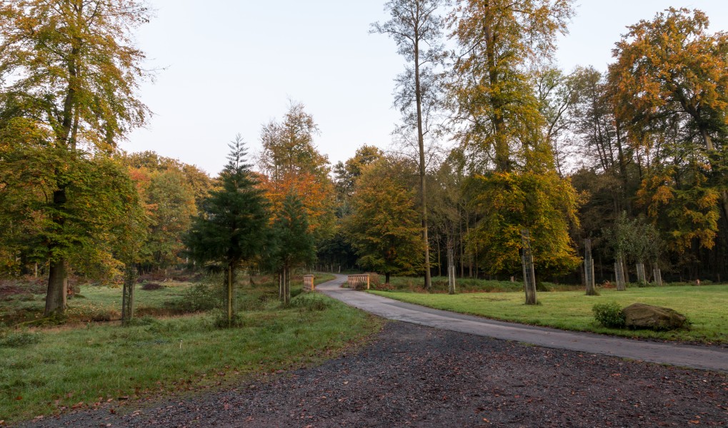 Dülmen, Wildpark -- 2014 -- 3806