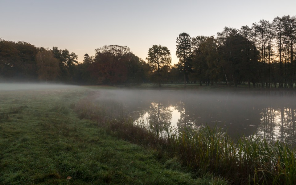 Dülmen, Wildpark -- 2014 -- 3815