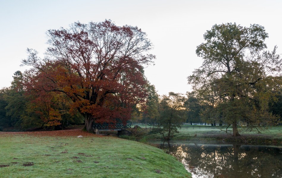 Dülmen, Wildpark -- 2014 -- 3819
