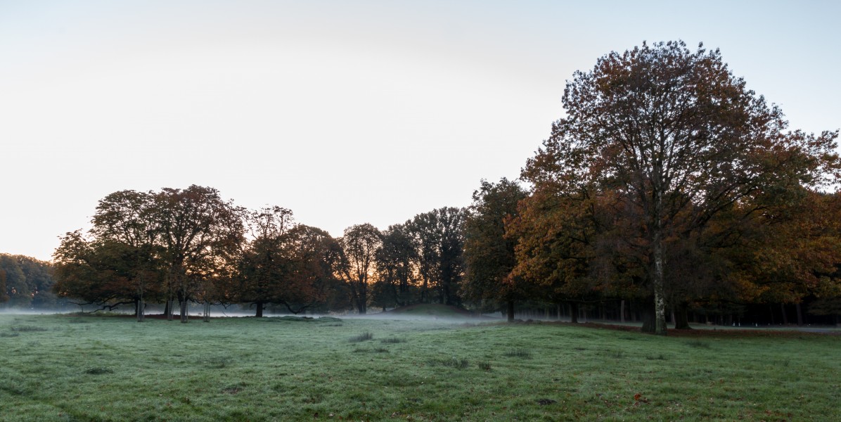Dülmen, Wildpark -- 2014 -- 3823