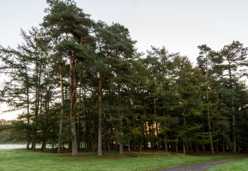Dülmen, Wildpark -- 2014 -- 3826
