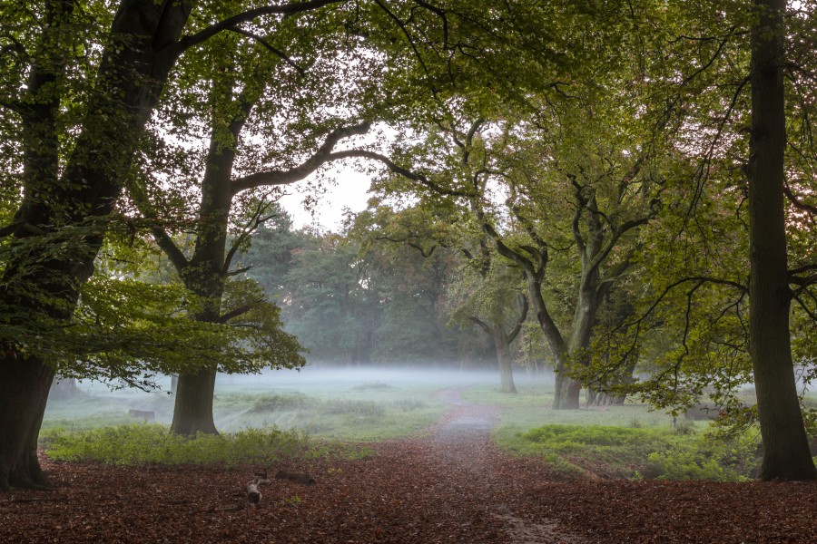 Dülmen, Wildpark -- 2014 -- 3830