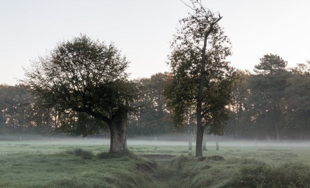 Dülmen, Wildpark -- 2014 -- 3831