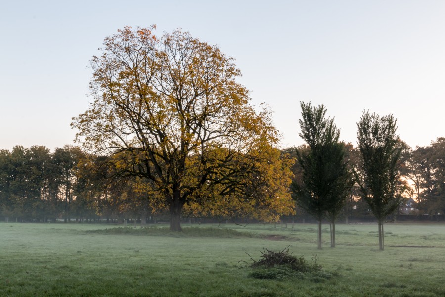 Dülmen, Wildpark -- 2014 -- 3832