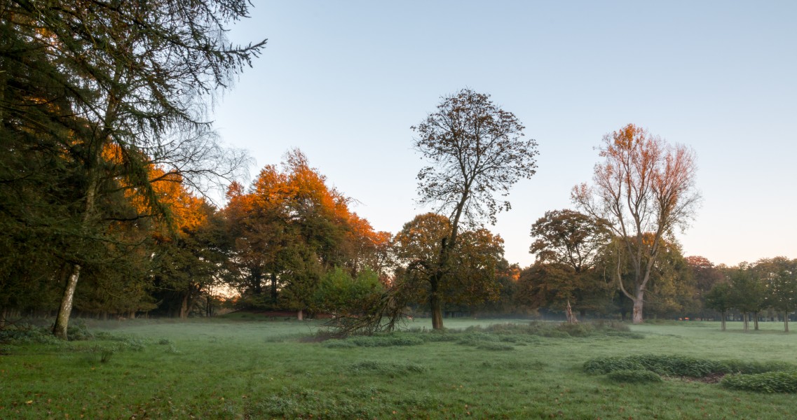 Dülmen, Wildpark -- 2014 -- 3835
