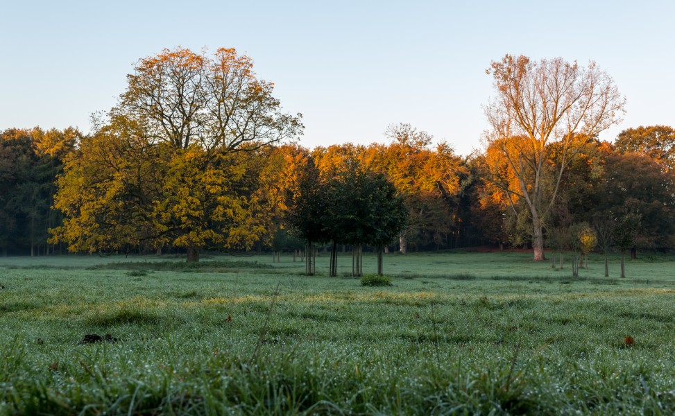 Dülmen, Wildpark -- 2014 -- 3848