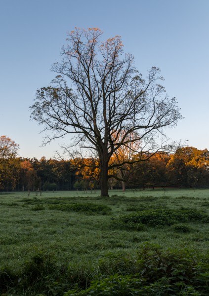 Dülmen, Wildpark -- 2014 -- 3849