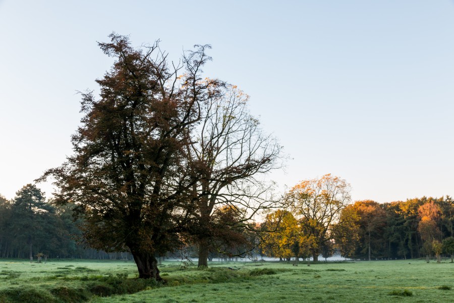 Dülmen, Wildpark -- 2014 -- 3852