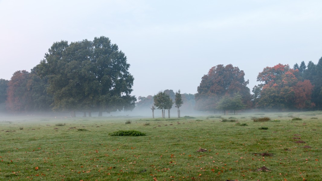 Dülmen, Wildpark -- 2015 -- 8793