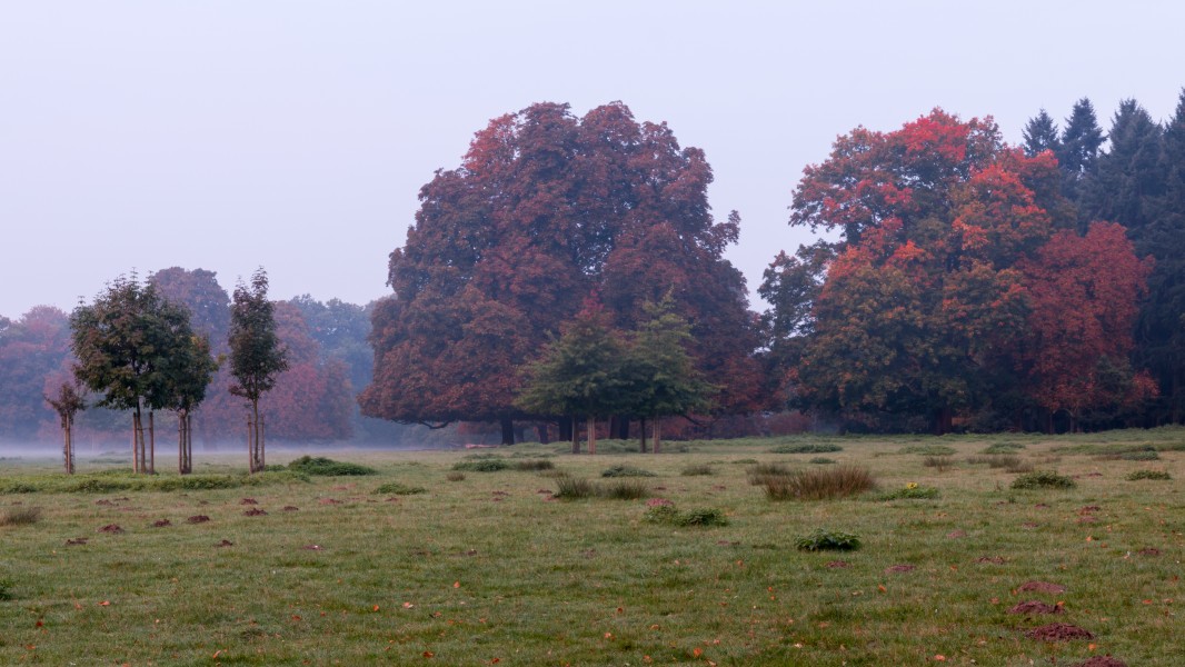 Dülmen, Wildpark -- 2015 -- 8796