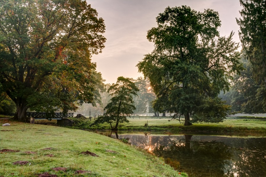 Dülmen, Wildpark -- 2015 -- 8843-9