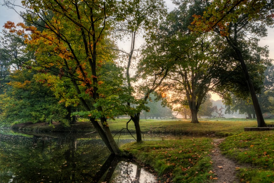 Dülmen, Wildpark -- 2015 -- 8864-70