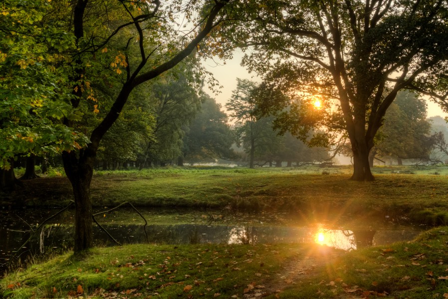 Dülmen, Wildpark -- 2015 -- 8871-7