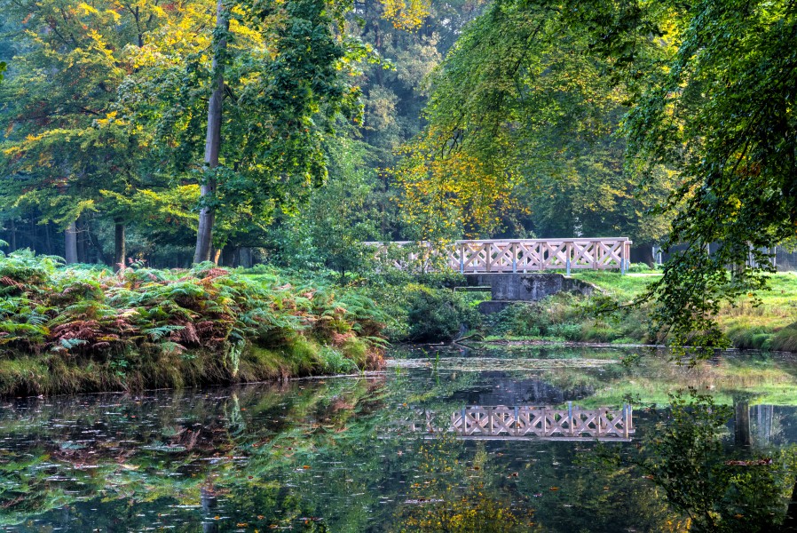 Dülmen, Wildpark -- 2015 -- 8894-8