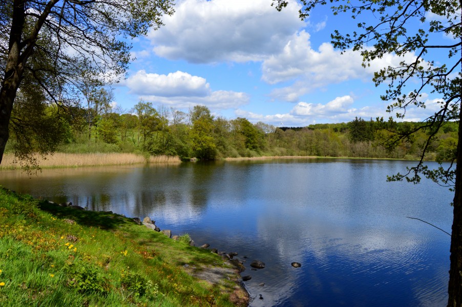 Dreifelder Weiher im Frühling