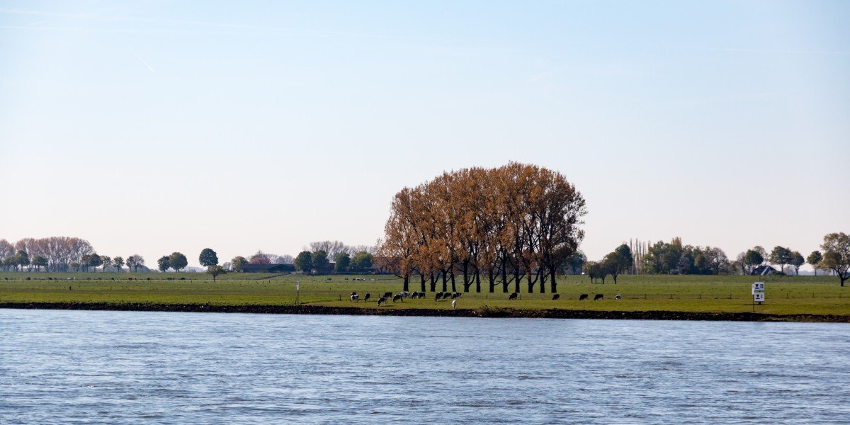 Emmerich am Rhein, Rhein -- 2016 -- 2321