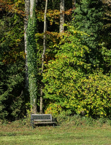 Franziskusweg Deggenhausertal-3083