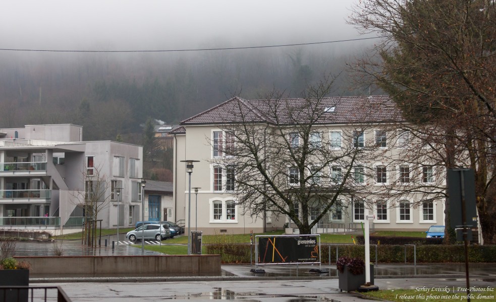 Germany near Switzerland photographed in December 2017 by Serhiy Lvivsky, picture 1