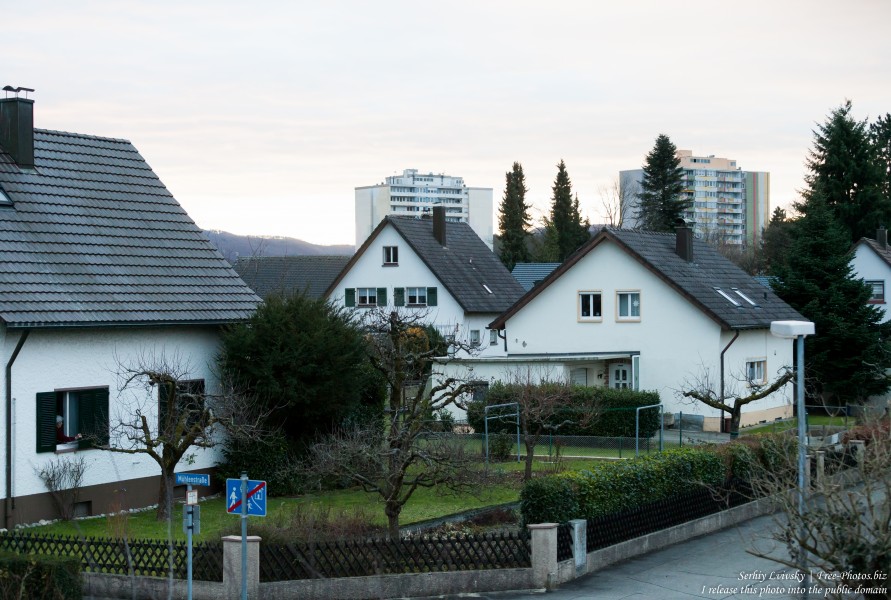 Germany near Switzerland photographed in December 2017 by Serhiy Lvivsky, picture 2