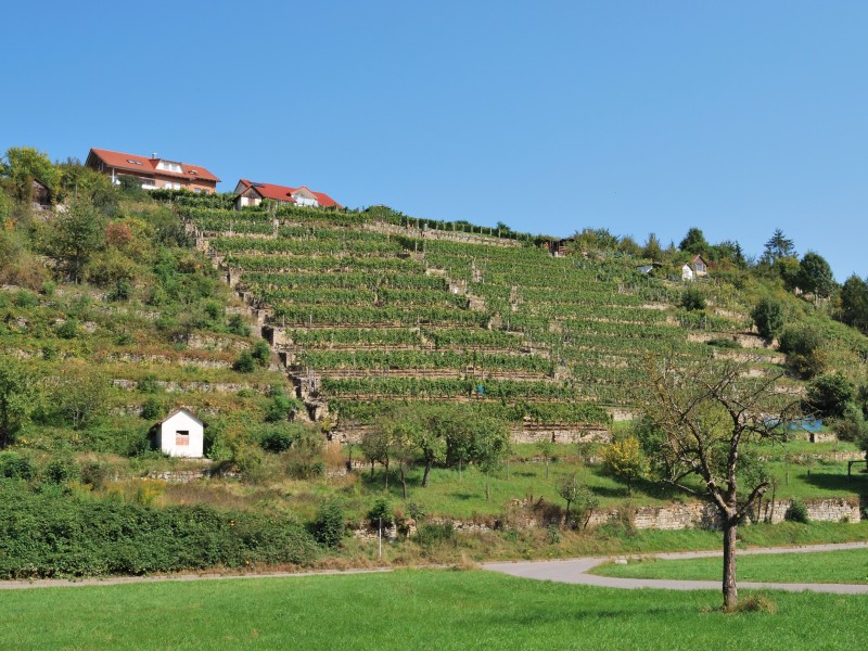 Glemstal Markgröningen (1)