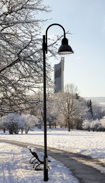 Grüttpark - Winter4