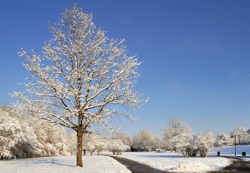 Grüttpark - Winter5