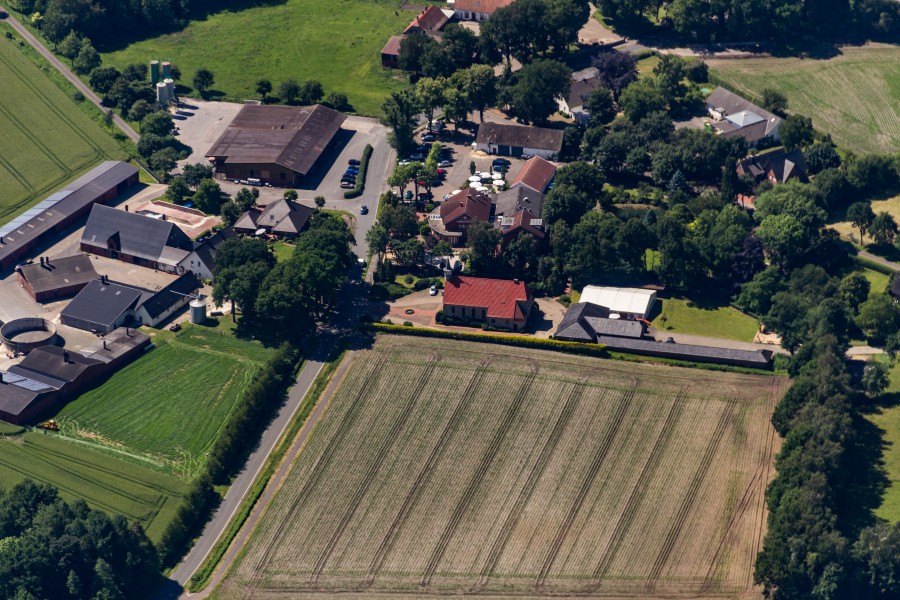 Hörstel, Ostenwalde -- 2014 -- 9615