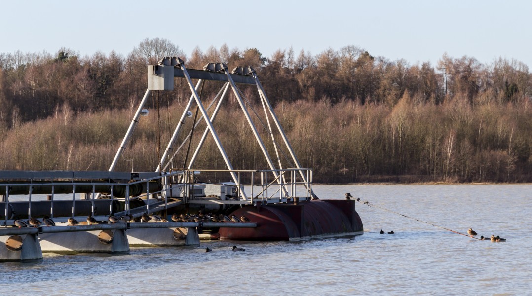Haltern am See, Silbersee III -- 2014 -- 12