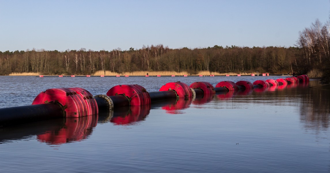Haltern am See, Silbersee III -- 2014 -- 13