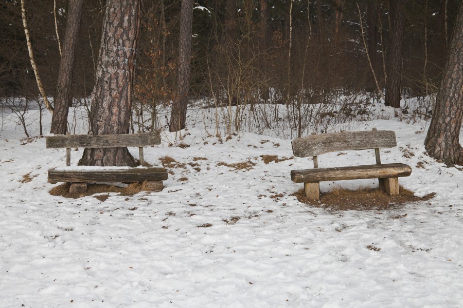 Hartelholz Wald, Múnich, Alemania, 2013-01-27, DD 13