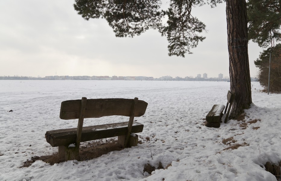 Hartelholz Wald, Múnich, Alemania, 2013-01-27, DD 14
