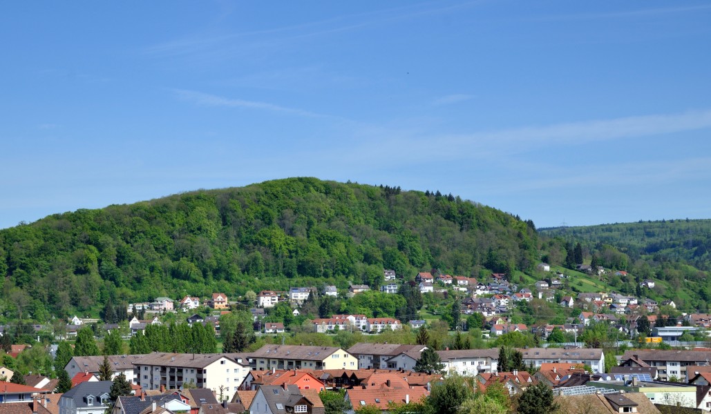 Hauingen - Lingert