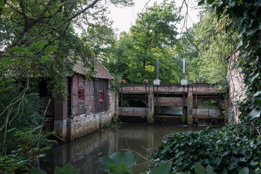 Hausdülmen, Große Teichsmühle -- 2014 -- 3065