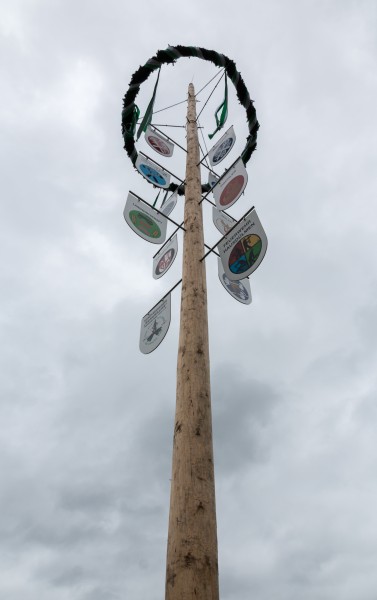 Hausdülmen, Maibaum -- 2014 -- 0135