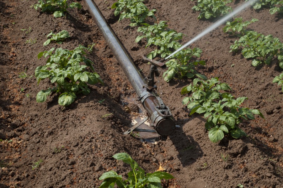 Irrigation system 