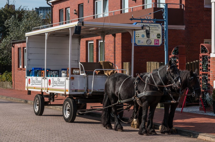 Juist, Getränketransport -- 2014 -- 3627