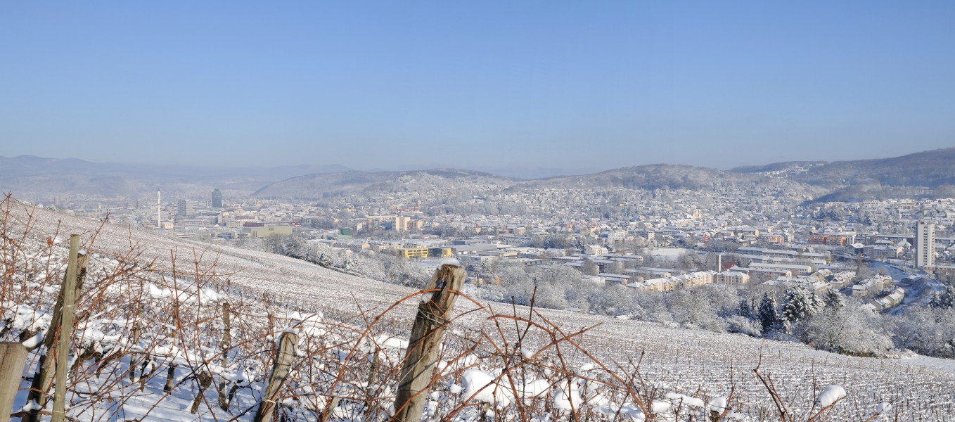 Lörrach - Winterpanorama