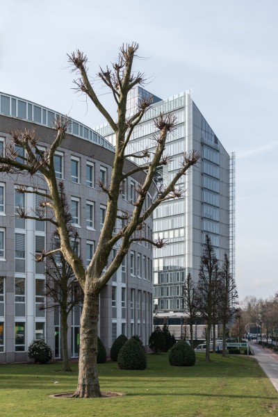 Münster, LVM -- 2016 -- 0861