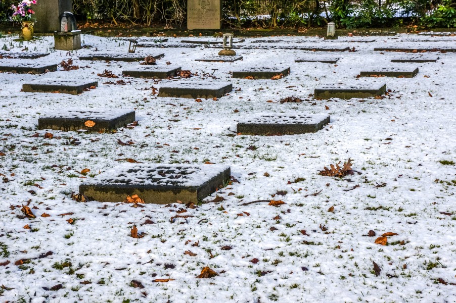 Münster, Park Sentmaring -- 2015 -- 01069