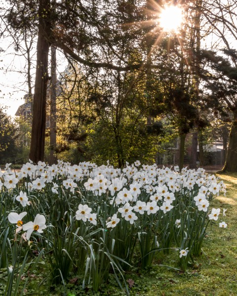 Münster, Park Sentmaring -- 2016 -- 1874