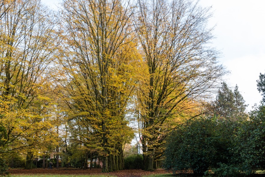 Münster, Park Sentmaring -- 2017 -- 3282