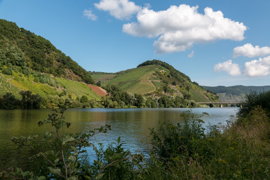 Neumagen-Dhron, Mosel -- 2015 -- 7556