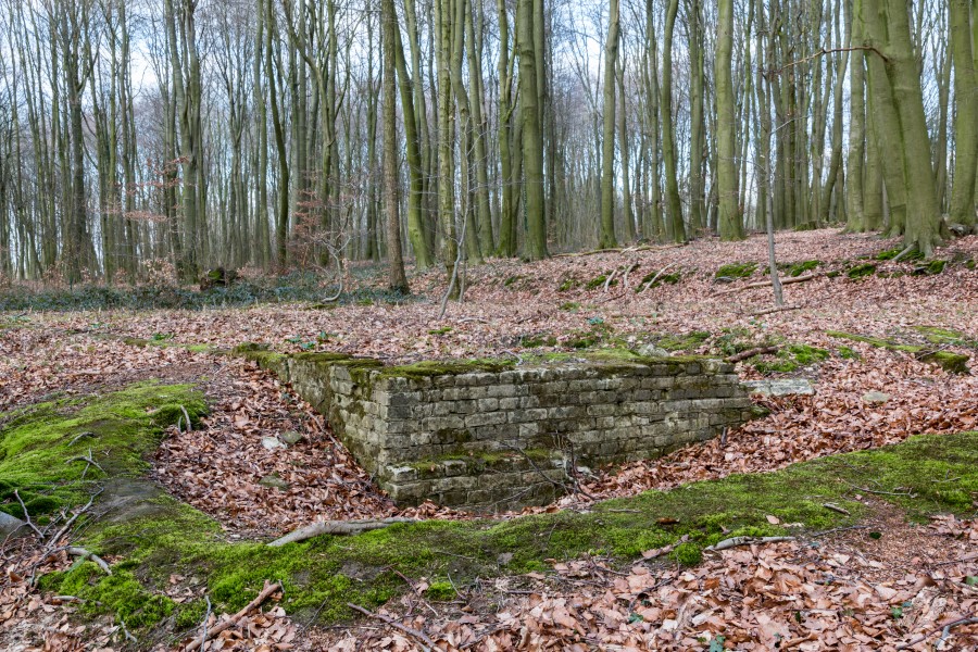 Nottuln, Lager Herbstwald -- 2016 -- 1478