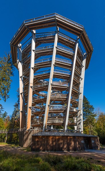 Observation tower - Canopy walk - Bad Wildbad 01